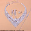 Women Hollow Crystal Luxury Tassel Rhinestone Bridal Jewelry Set - Afro Fashion Hive